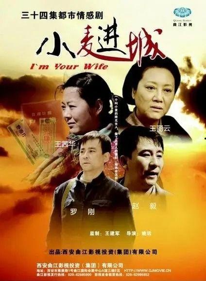 电视剧小麦进城在线观看,农村女孩的都市奋斗传奇